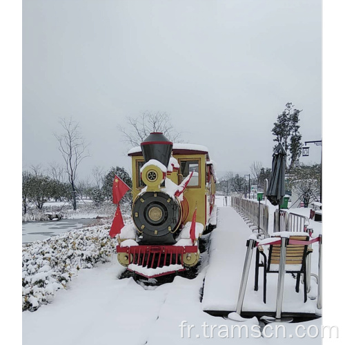 Train de tourisme électrique bon marché et de haute qualité